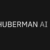 Huberman AI