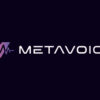 MetaVoice Studio