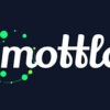 Mottle Bot