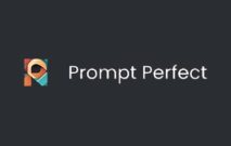 Prompt Perfect