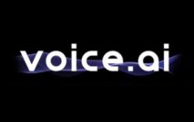 Voice.ai