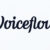 Voiceflow